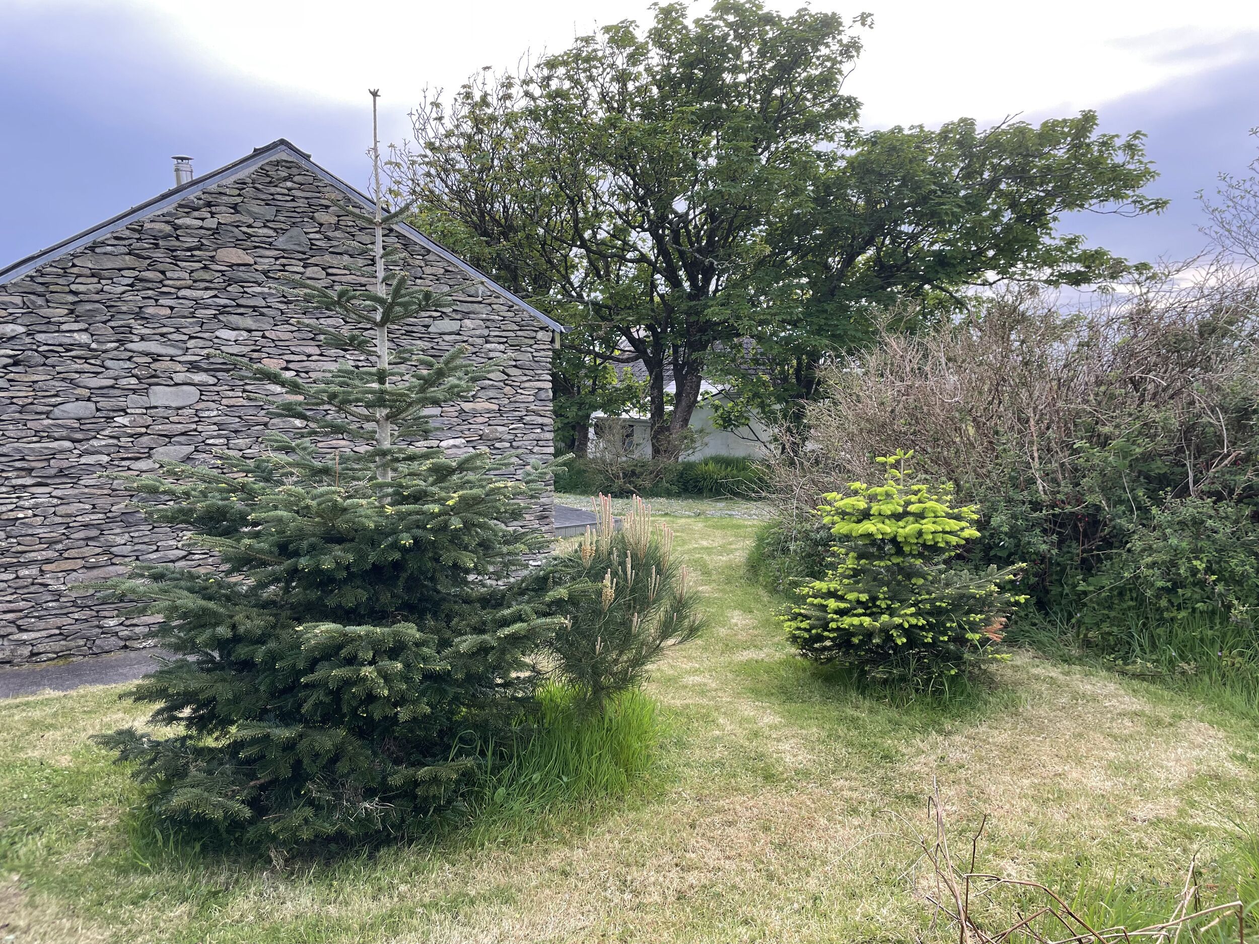 Un edificio in pietra con tetto spiovente, immerso in un’area verde con alberi e arbusti.