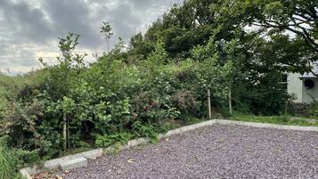 A garden with a gravel path, dense foliage, and a stone wall.