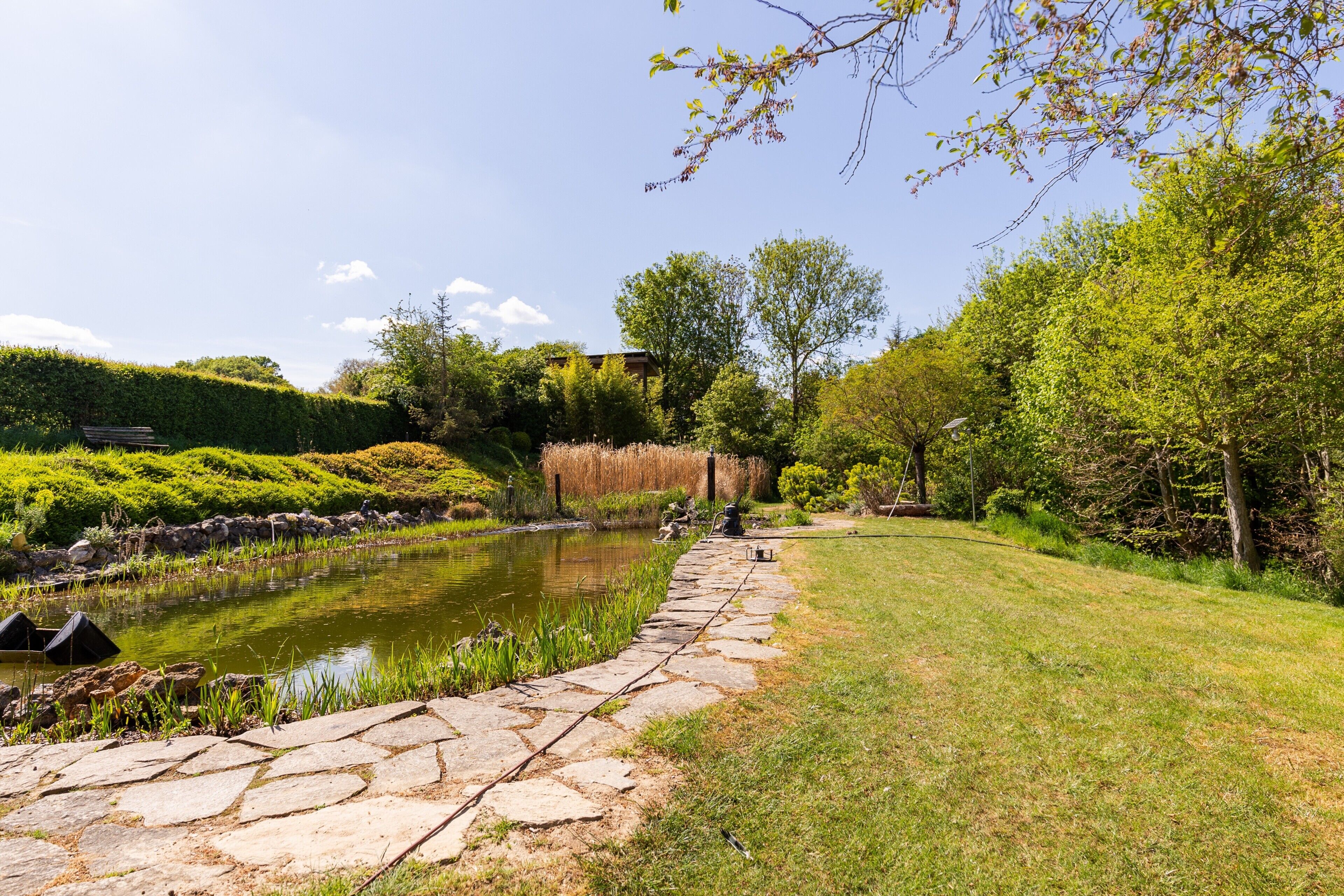 Ein Steinpfad führt zu einem Teich, umgeben von üppigem Grün und Bäumen.