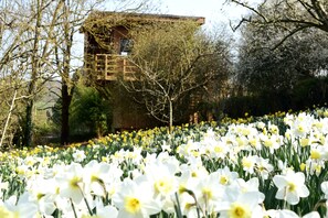 Property grounds - Treehouse “La Cabane Perchée” (Vert)