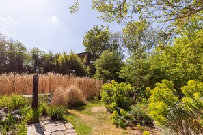 A garden with a stone path, various plants, and a building in the background.