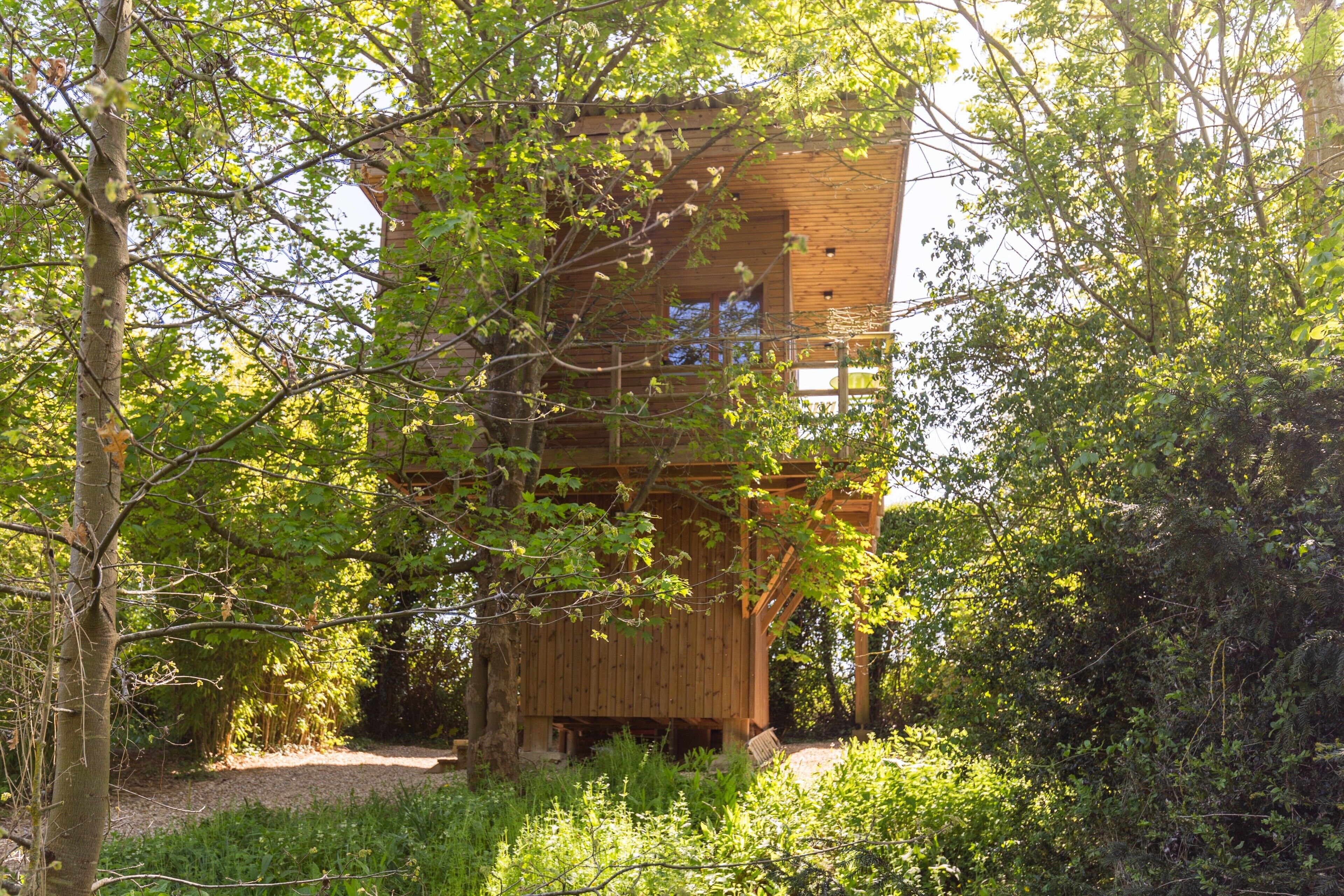 Eine Holzhütte, umgeben von dichtem Grün.