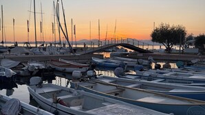 Un puerto deportivo con varias embarcaciones amarradas, un puente y un árbol al fondo.