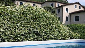 Comfort Apartment, Kitchen, Garden View | Pool