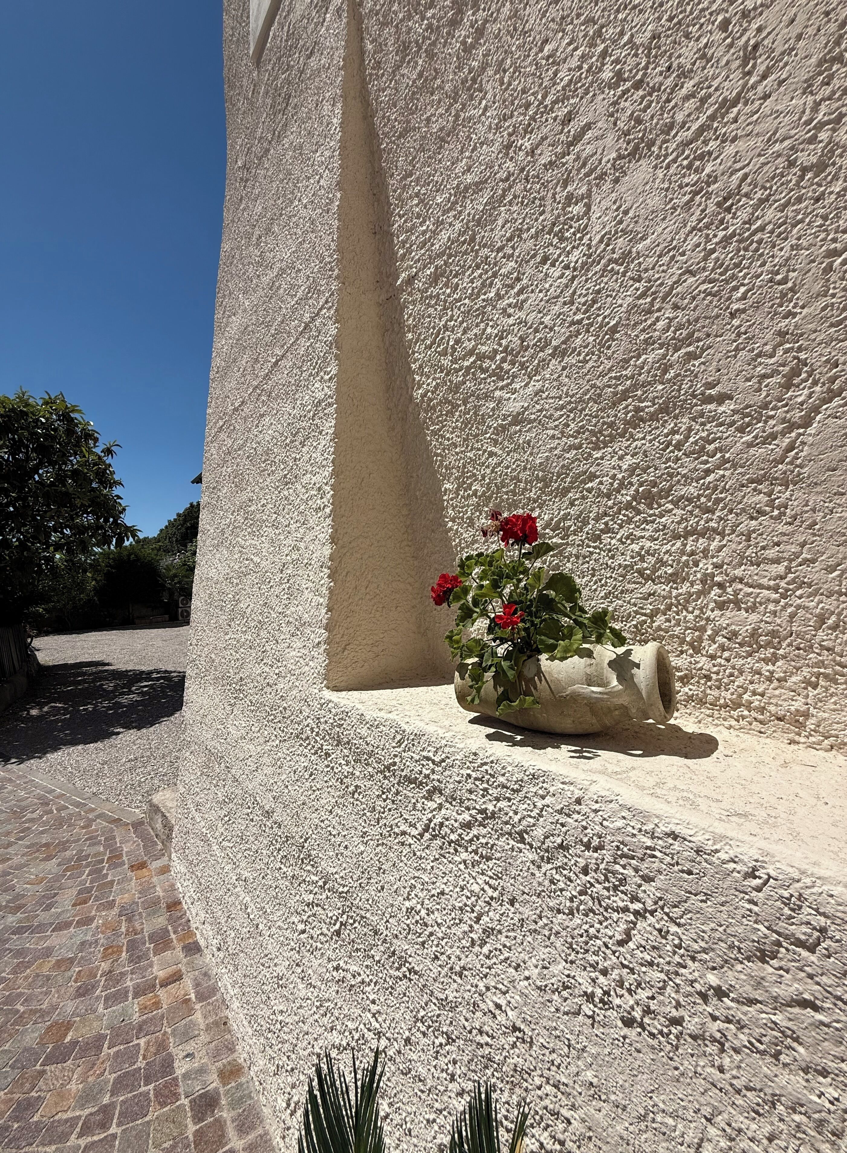 Una pared con textura, una maceta y flores.