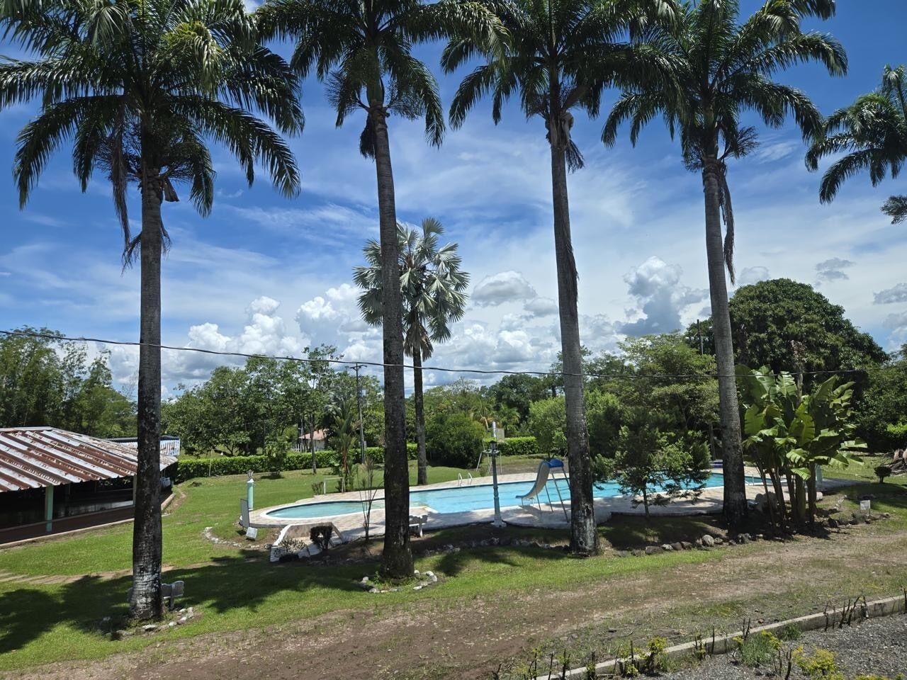 Une piscine entourée de palmiers, un petit bâtiment et un ciel dégagé.