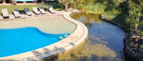 Una piscina al aire libre, camas de piscina gratis, sombrillas