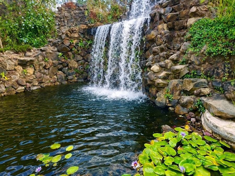 Área da propriedade