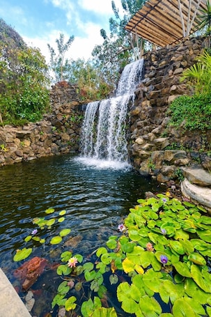 Jardines del alojamiento. Bambu Villas Wellness Center