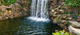 Bambu Villas Wellness Center