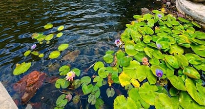 Bambu Villas Wellness Center
