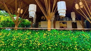 A building with a bamboo roof and hanging light fixtures. - Bambu Villas Wellness Center (Amatlán)