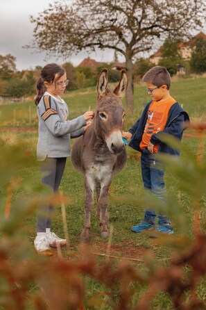 Miscellaneous - Large room with vineyard view - Les Grands Chaillots (Change)