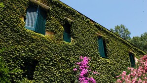 En byggnad täckt av murgröna med gröna fönsterluckor och rosa blommor framför.