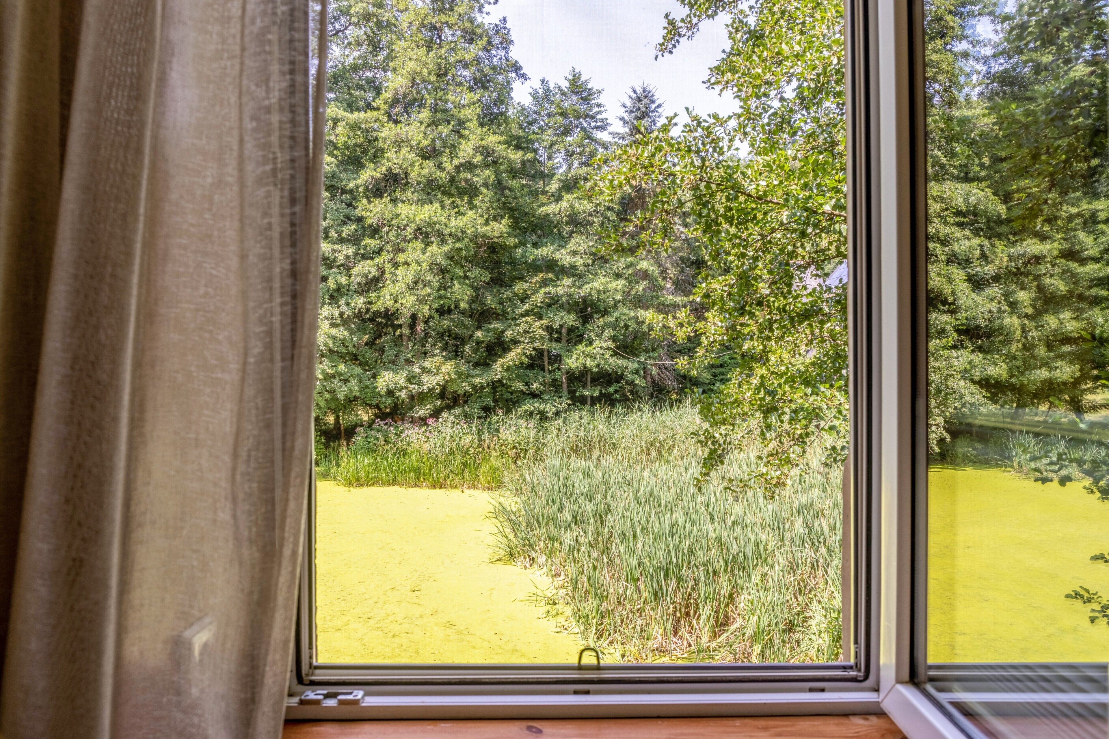 Ein Fenster mit Blick auf ein bewaldetes Gebiet und eine Wiese.