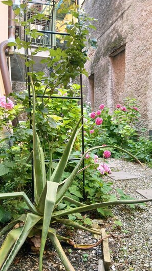 Exterior detail - Casa Rosa - hidden Garden with lake view (Fiumelatte)