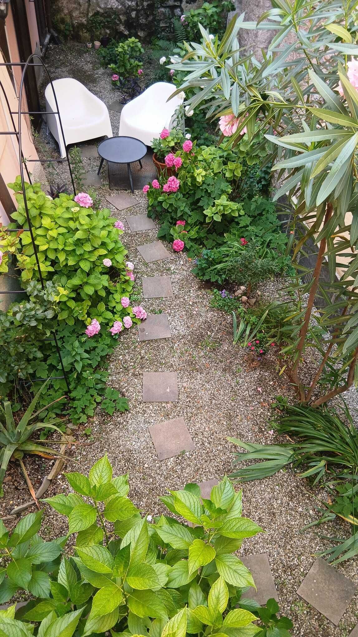 A garden pathway with stepping stones, surrounded by lush greenery and pink flowers.