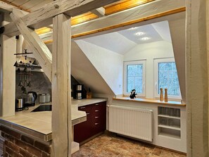 Private kitchen - Apartment "Schwarzmühle 3" with Lake View, Private Garden and Wi-Fi (Börnichen/Erzgeb.)