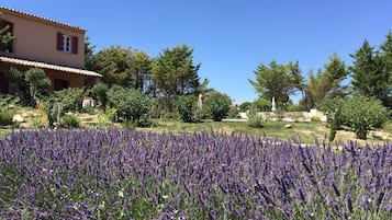 Overnattingsstedets uteområder