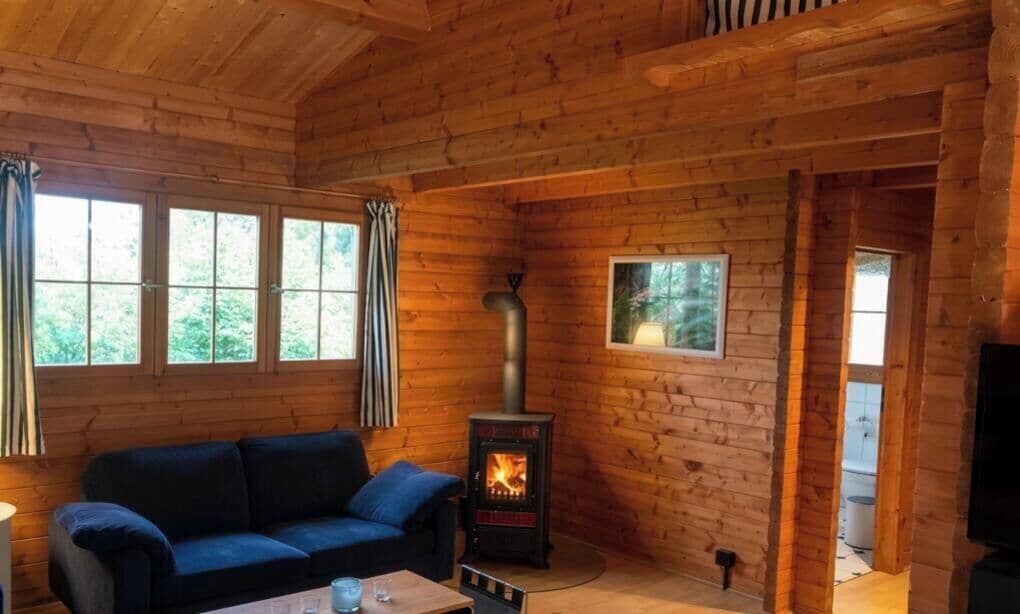 TV, fireplace, DVD player, books