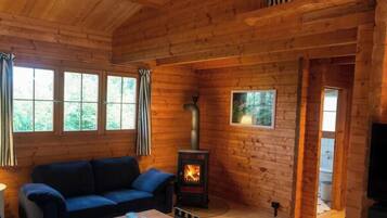 Fernseher, Kamin, DVD-Player, Bücher