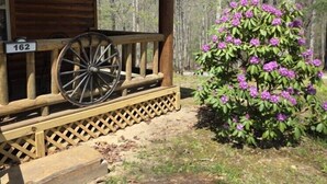 Une cabane en bois avec une véranda, une brouette et un arbuste aux fleurs violettes.