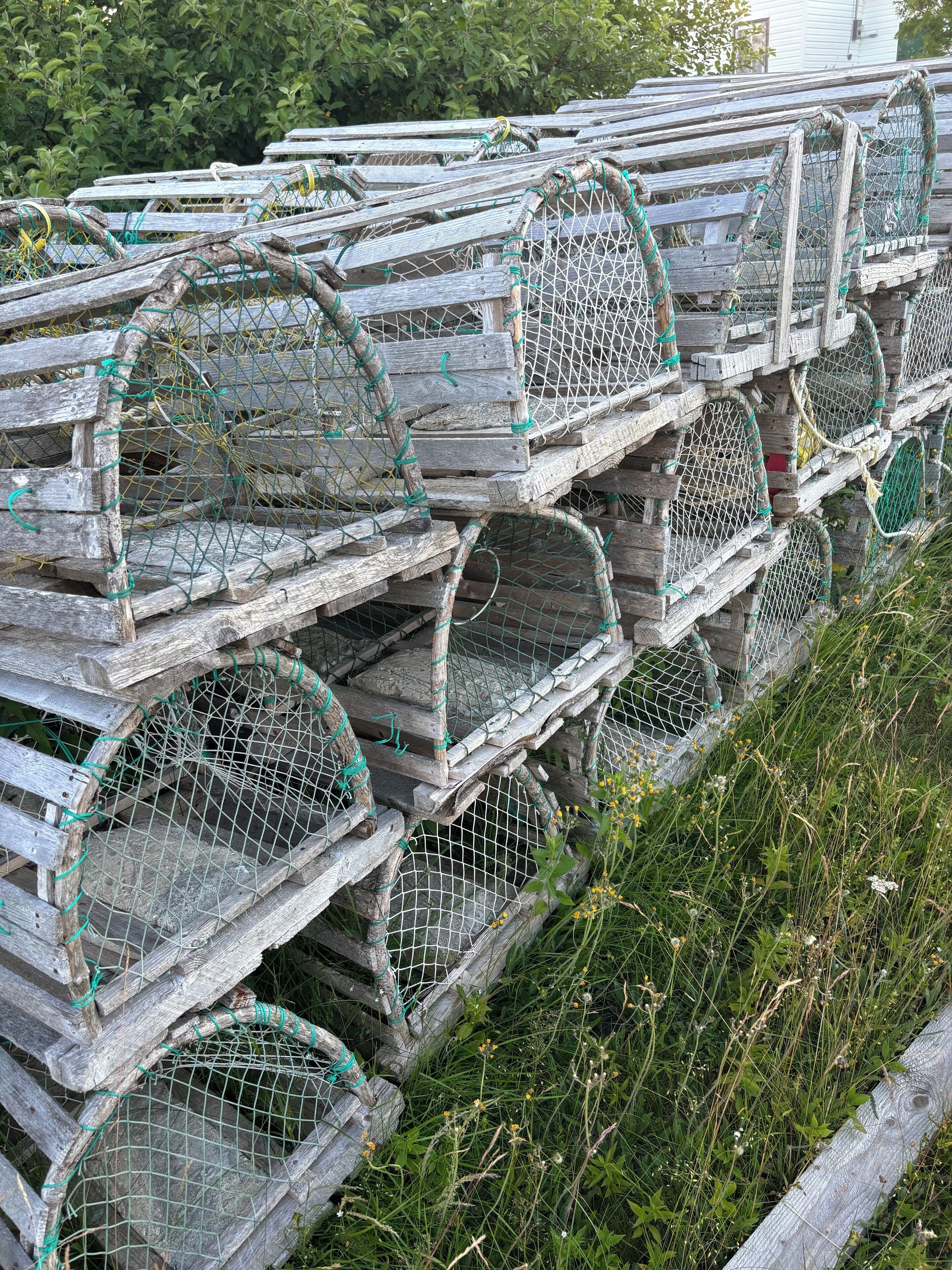A stack of wooden crates with wire mesh lids, likely used for storage or transport.