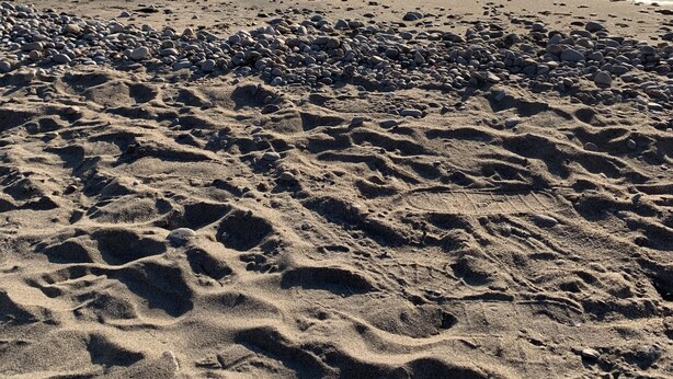 A sandy beach with small pebbles and gentle waves. - Woodland Beach House in lovely Tiny Beaches! (Elmvale)