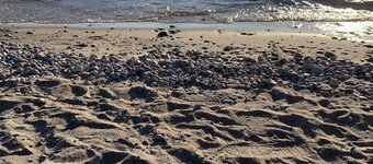 Woodland Beach House in lovely Tiny Beaches!