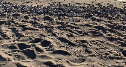 Woodland Beach House in lovely Tiny Beaches!