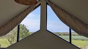A room with a triangular window, a ceiling light fixture, and electrical outlets on the wall. - The Rookery (Tacumshane)