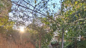 A patio with a round wooden table and two wicker chairs, surrounded by bamboo fencing and greenery. - Beachfront with pool Eucalyptus garden (Alghero)