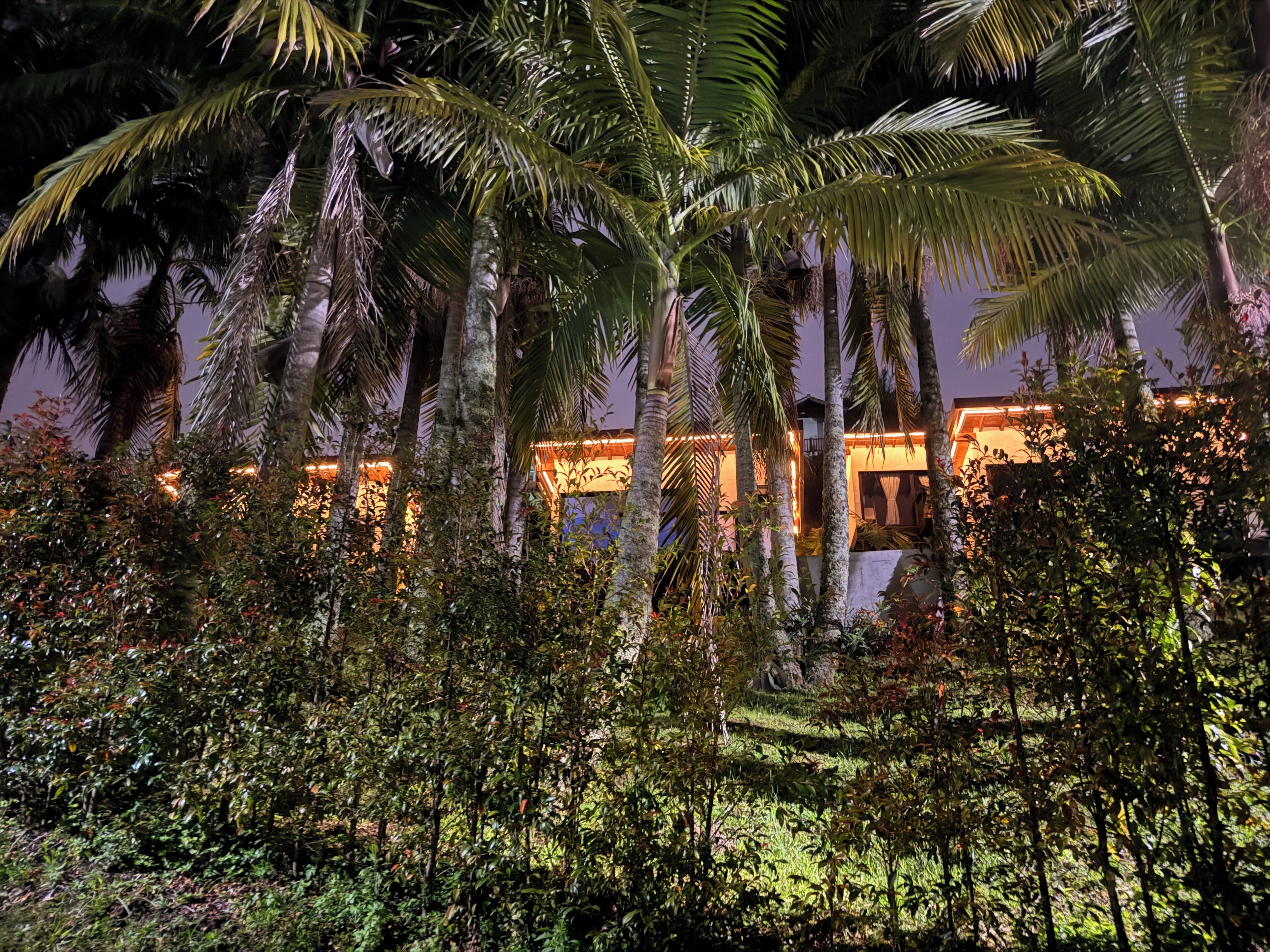 Jardines del alojamiento