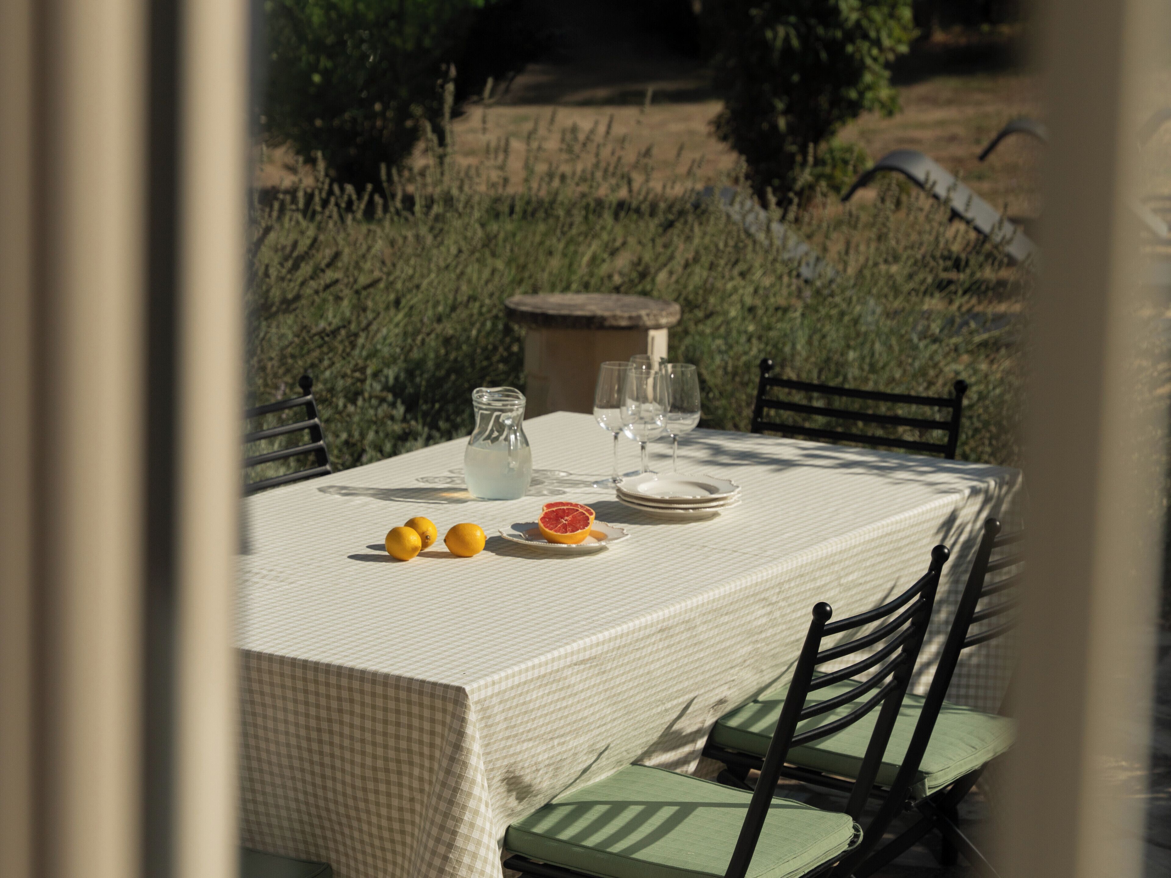 Un tavolo apparecchiato all'aperto con tovaglia a quadri, una caraffa, bicchieri, piatti, limoni e pompelmo.