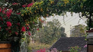 Un quartier résidentiel avec un portail en bois, une maison avec un toit en tuiles et des plantes en pot.