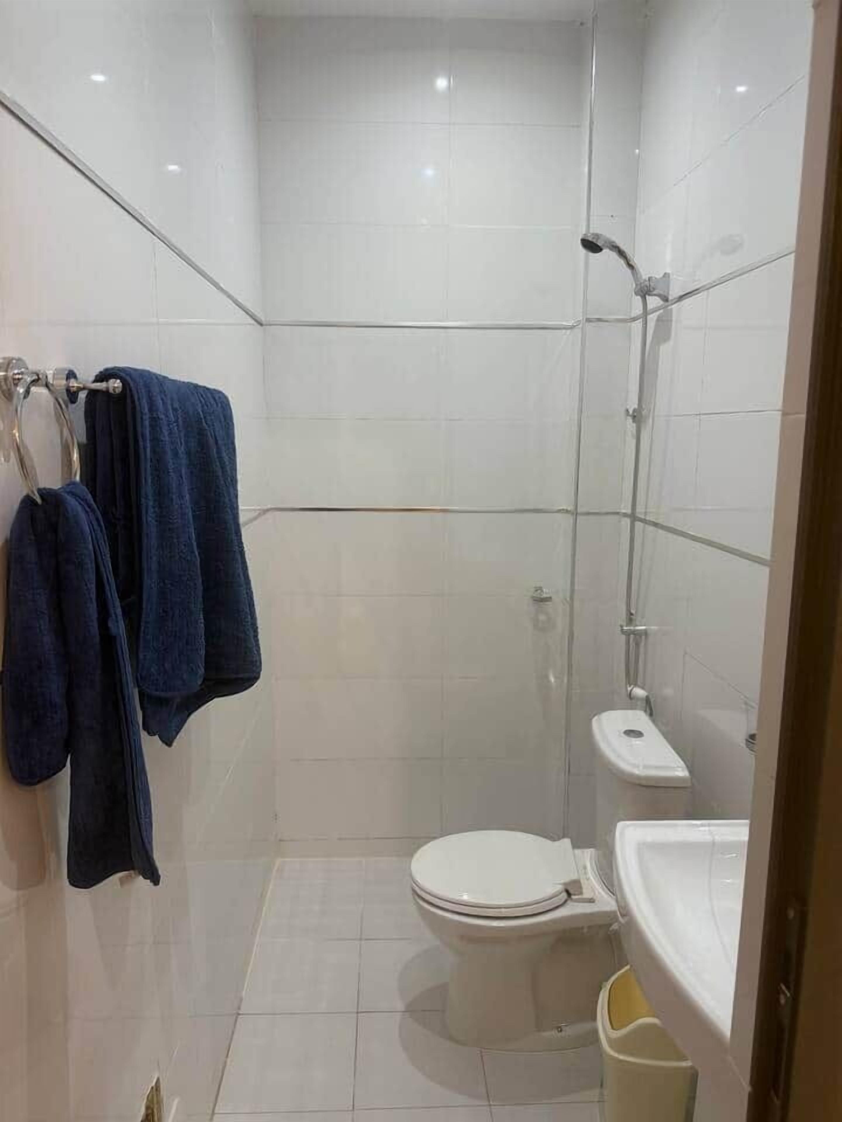 Pieni, käytännöllinen kylpyhuone, jossa on wc, suihkukaappi ja pesuallas.