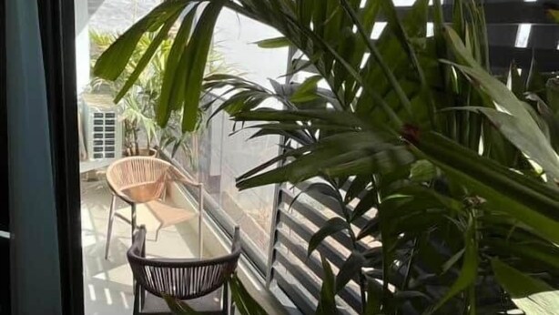 Ein Balkon mit Blick auf die Straße, ein Sessel und große, grüne Pflanzen.