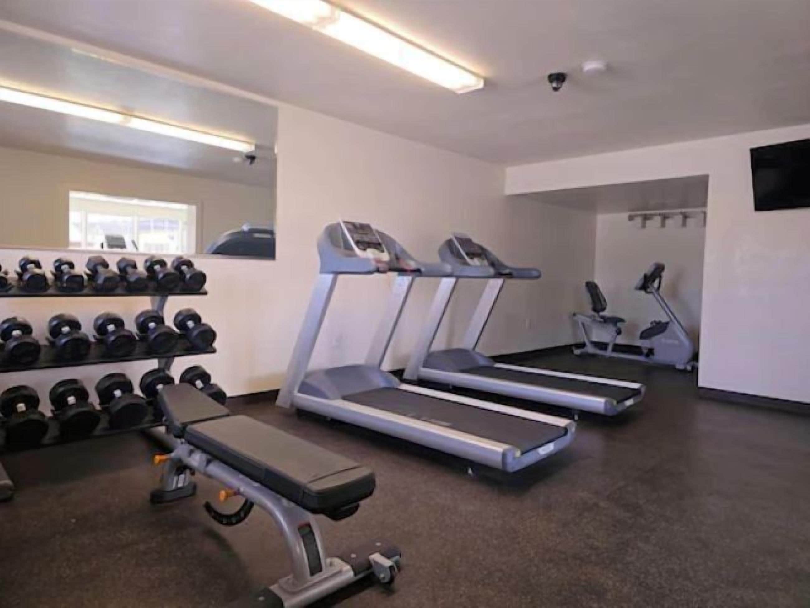 A gym with treadmills, dumbbells, and a bench.