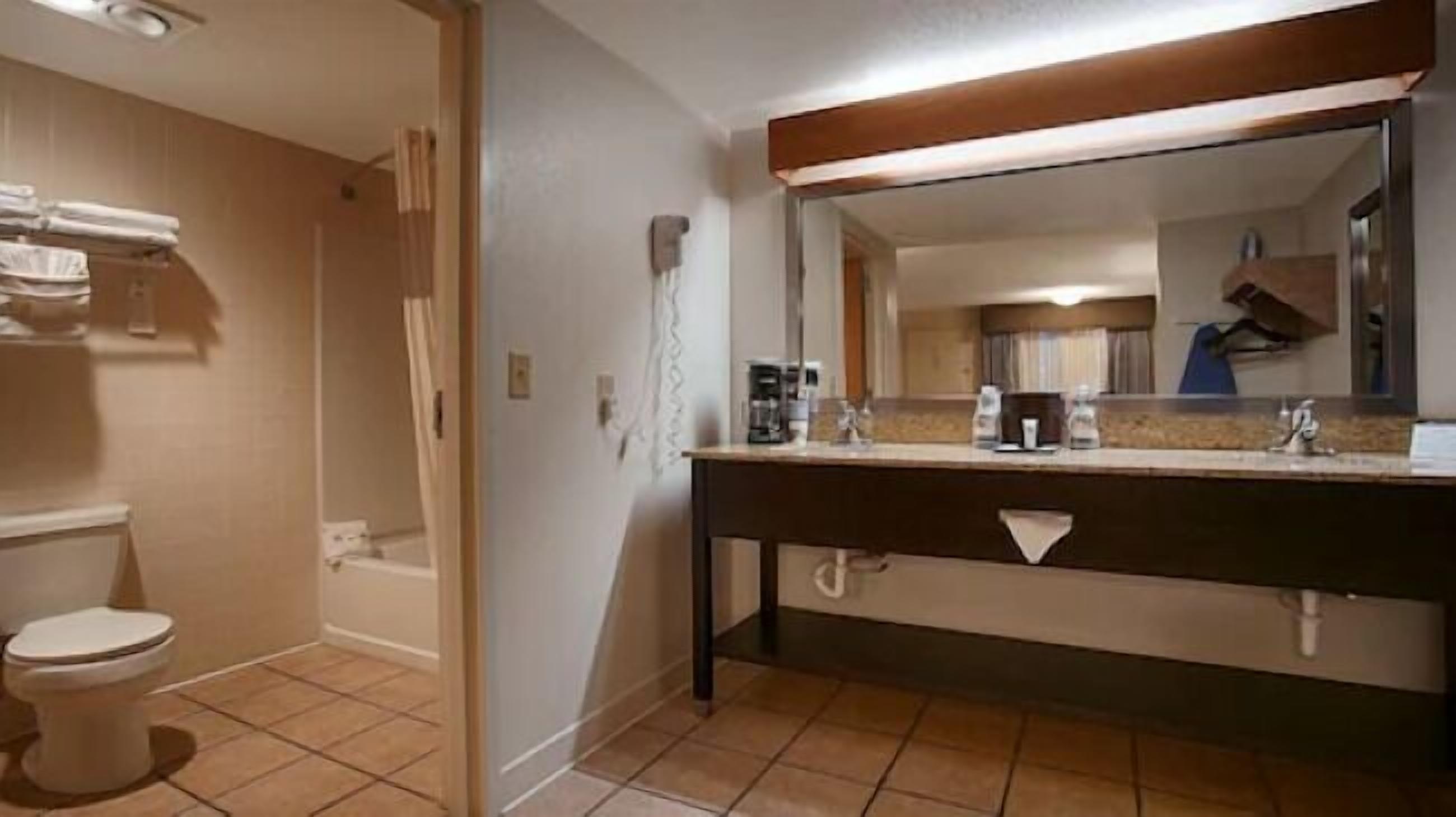 Hair dryer, towels, shampoo, toilet paper