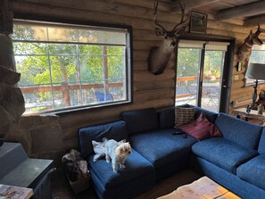Living area - Swiss mountain home located in scenic Swiss Alpine area in Midway UT (Midway)