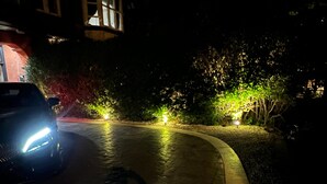 Vista noturna da rua com um carro estacionado na lateral, calçada curva e plantas iluminadas.