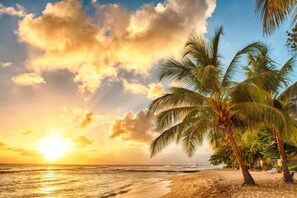 Beach - Wellness Retreat • Sleeps 12 + Yard + Patio (West Palm Beach)