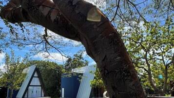 Romantic Chalet, Pool Access, Mountain View | Property grounds