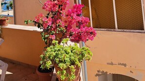 A balcony with a potted plant and a view of a house with a tiled roof. - Sea View Apartments Kukljica (Kukljica)