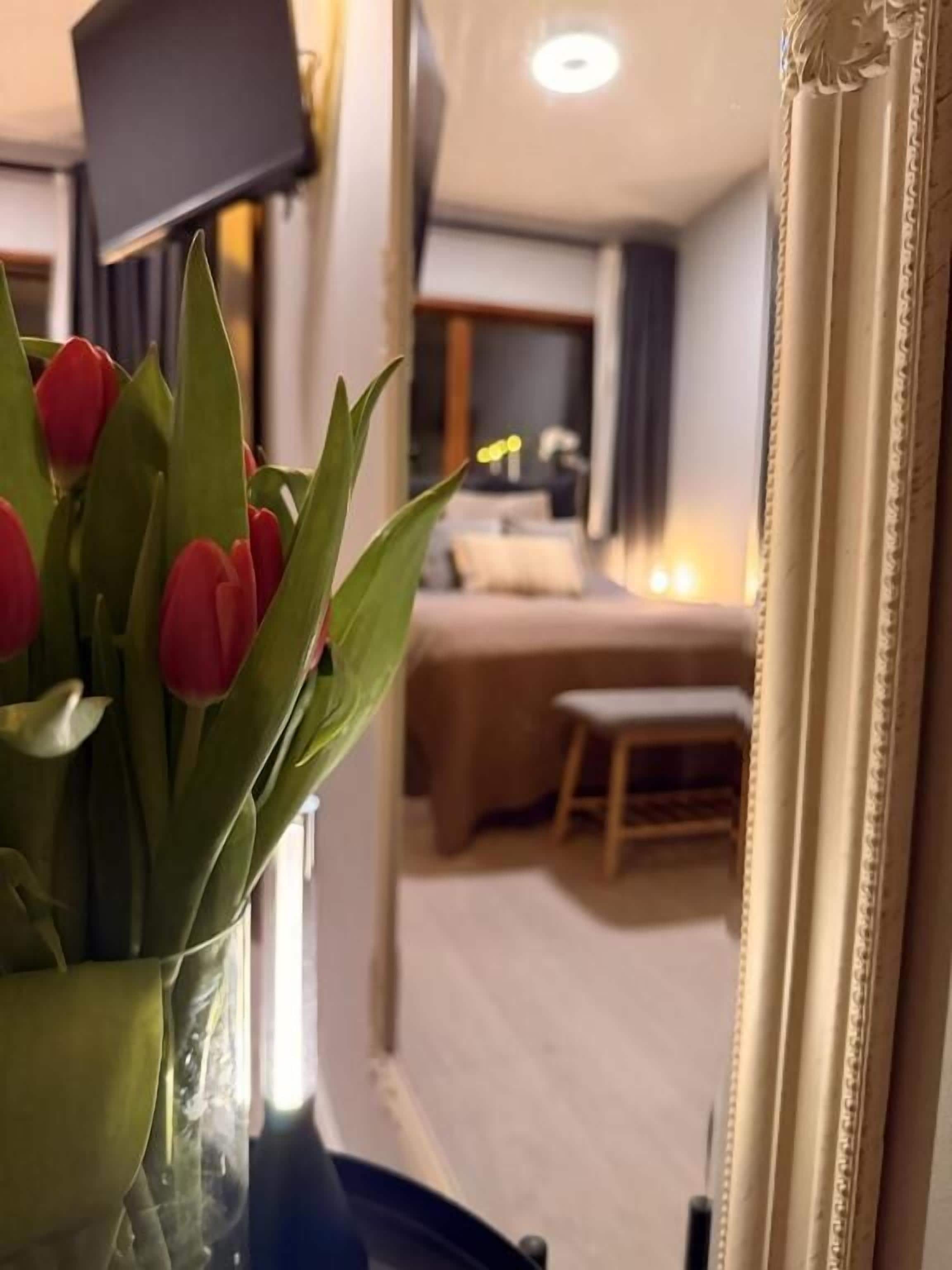 Chambre Familiale, 1 grand lit et 1 canapé-lit