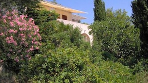 A building with a yellow facade, surrounded by lush greenery and pink flowering bushes. - Apartments Zlatko (Vodice)