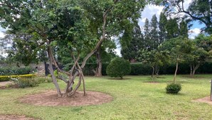 A well-maintained garden with various trees and shrubs, a circular flower bed, and a neatly trimmed lawn.