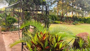 A garden with a pergola, various plants, and trees.