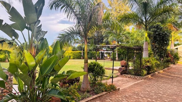 A garden pathway with tropical plants and a gazebo.