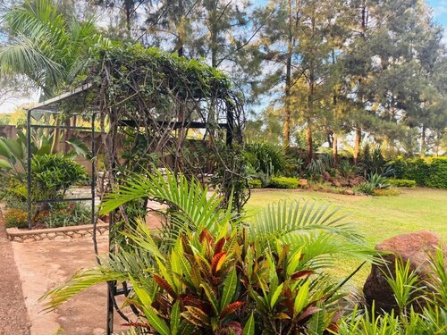 Cabin in The Garden – Kwekwe - 2369